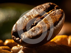 Macro photo of a coffee bean