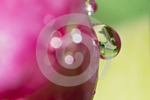 Macro photo from colorful waterdrops close up view