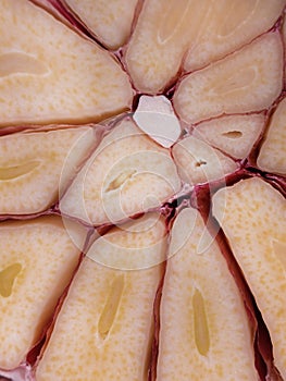 macro photo of a cut of a head of garlic closeup