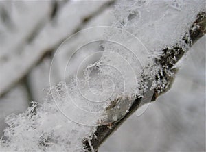 Macro photo with a decorative background of natural white snowflakes of different configurations in the winter atmosphere photo