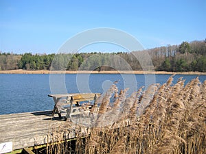 Macro photo with decorative background of spring landscape on the shore of a beautiful natural lake in the area of Lithuania
