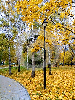 Macro photo with decorative landscape background of a decorative lantern on a walking path of Golden foliage in autumn