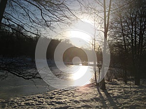 Macro photo with a decorative natural background of a winter landscape, sunset in the trees of a city park for design