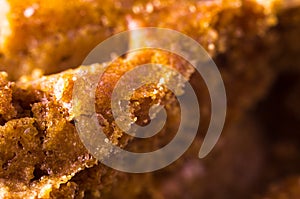 Macro photo of a delicious slice of brown speculaas