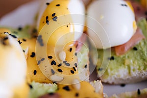 Macro photo of delitious toast with salmon, boiled egg and guacamone on a white plat sprinkled pine nuts and black cumin