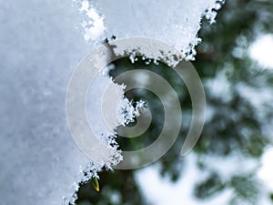 Macro photo of distinct real snowflake and snow on a green pine needle with dark background