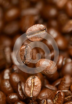 Macro photo of flying coffee beans. All beans in focus.