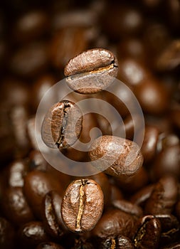 Macro photo of flying coffee beans. All beans in focus.