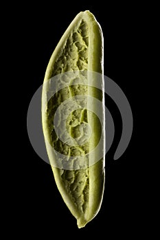 Macro photo of foglie spinach pasta isolated on black with clipping path