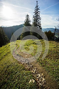 Macro photo from footpath mountain