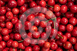 Macro photo fresh cherry. Stock photo background sweet cherry