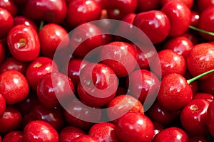 Macro photo fresh cherry. Stock photo background sweet cherry