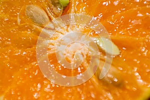 Macro photo of fresh and pulpy orange
