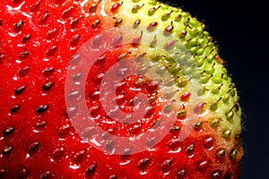 Macro photo of fresh red strawberry seeds. Texture of the red surface of the strawberry berries closeup