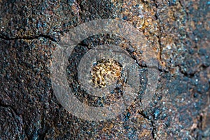 Macro photo of the fusion crust from a Chondrite Meteorite, piece of rock formed in outer space in the early stages of Solar