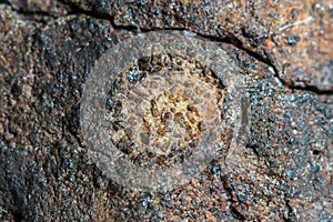 Macro photo of the fusion crust from a Chondrite Meteorite, piece of rock formed in outer space in the early stages of Solar