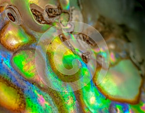 Macro photo of iridescent surface texture of abalone shell