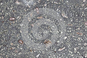 Macro photo of a Kimberlite rock surface, from Namibia