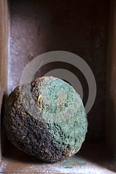 Macro Photo Of  Moulded Citrus Fruit photo