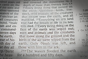Genesis 7:23 Every Living thing on the face of the earth was wiped out photo