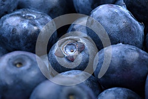 Macro photo of organic and sweet blueberries as a background. Healthful and fresh berries for desserts or smoothies.