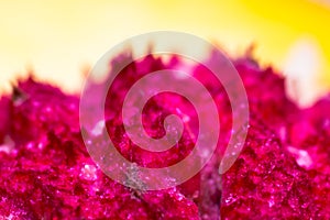 Macro photo of a peach stone abstract