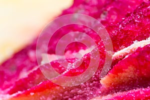 Macro photo of a peach stone abstract