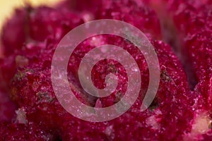 Macro photo of a peach stone abstract