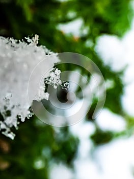 Macro photo of perfect, distinct real geometrical snowflake on a green and white background