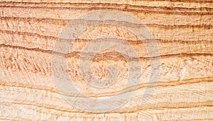 macro photo of poplar board surface with wood texture