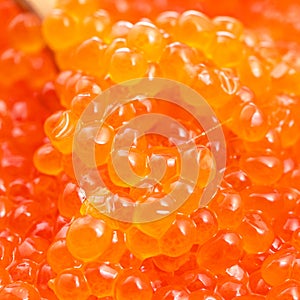 Macro photo of red caviar in wooden spoon