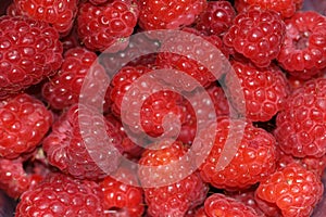 Macro photo of red ripe raspberries