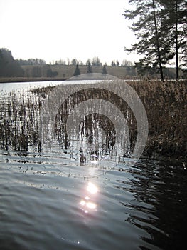 Macro photo with rural landscape decorative background of evening sunset in early spring on the lake in Lithuania