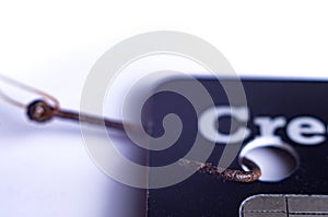 Macro photo of rusty fishing hook attached to credit card. concept of phishing attempt by a hacker