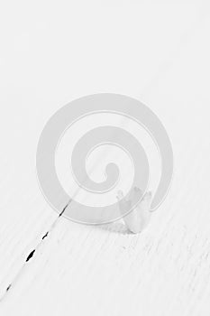 Macro photo of a small flower bud Lily of the valley on a white wooden table