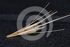 Macro photo of a tiny arrowheads of the foxtail grass. When a dog enters my consulting room shaking its head or licking its paw photo