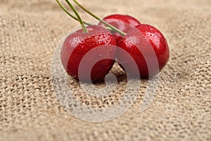 Macro photo of tree red cherries with water drops which are together on one green branch on jute background. Selective focus.