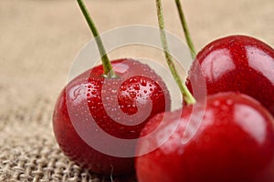 Macro photo of tree red cherries with water drops which are together on one green branch on jute background. Selective focus.