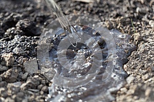 Watering dark brown soil photo