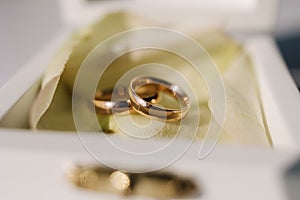 Macro photo of wedding rings on oaths