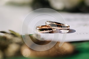 Macro photo of wedding rings on oaths