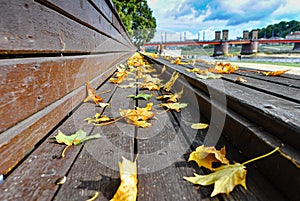 Macro photo of yellow autumn leaves on a wooden bench in the park against the blue sky