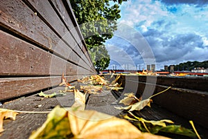 Macro photo of yellow autumn leaves on a wooden bench in the park against the blue sky