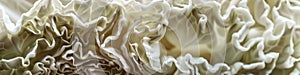 Macro photograph captures the intricate layers and ruffles of a cabbage photo