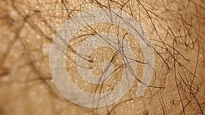 Macro photograph of human Curly hair and skin
