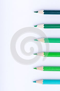 Macro photograph of several pencils of green color on a white background