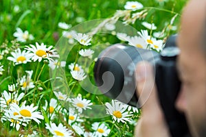 Macro photographer photographing a bee sucking nec