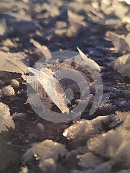 Macro photography of big ice or Snow crystals in a bright winter day