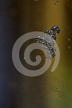 Macro photography of bubbles beer