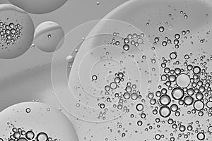 Macro photography with circles oil droplets water surface. Abstract black and white background with oil bubbles.